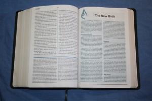 Apostolic Study Bible 011